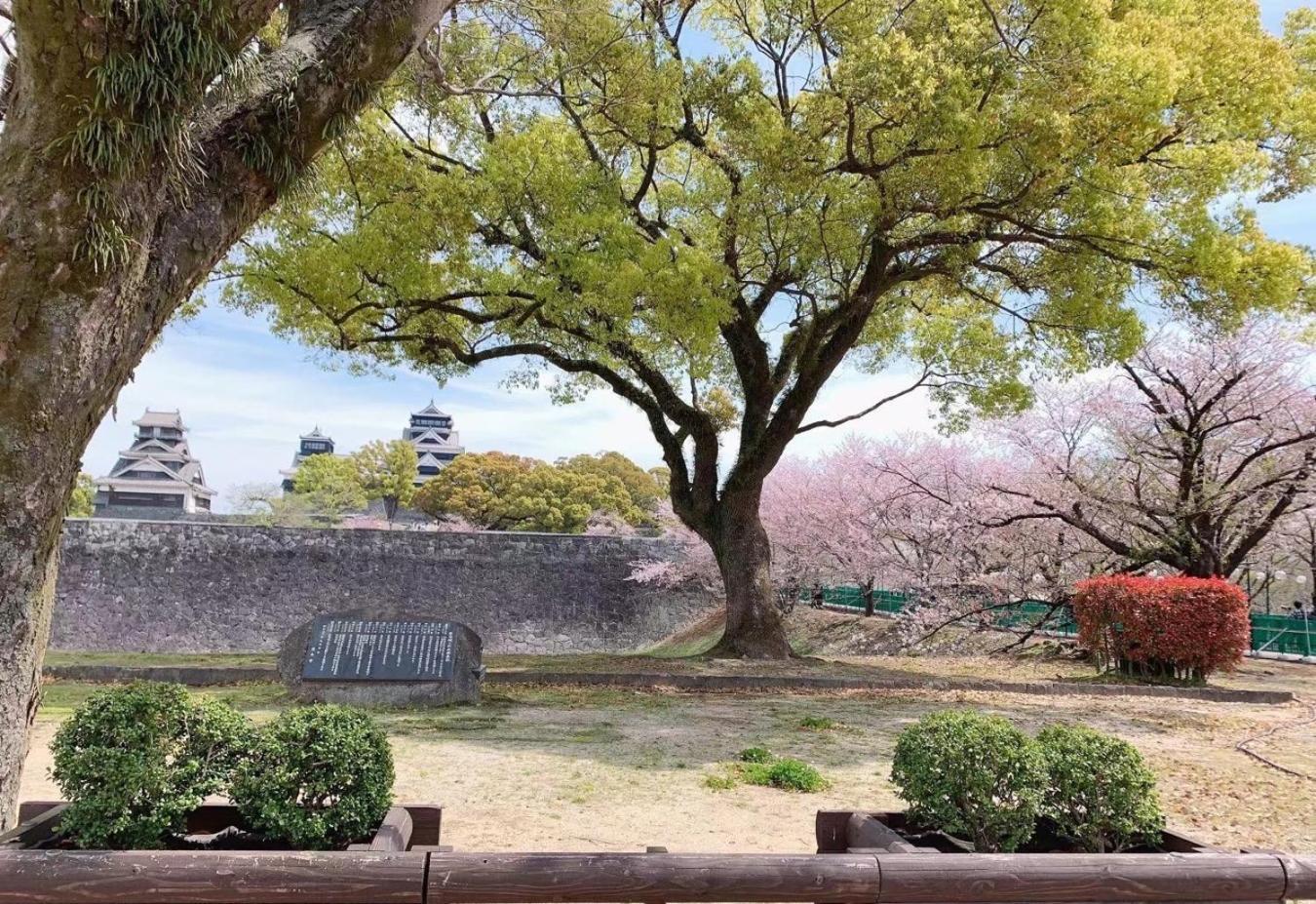 Chambord Kyomachi 102 - Vacation Stay 67038V Kumamoto Buitenkant foto